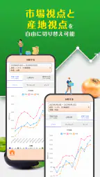 青果市況情報 YAOYASAN 5