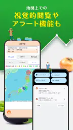 青果市況情報 YAOYASAN 8