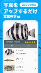 魚みっけ 1