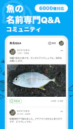 魚みっけ 2