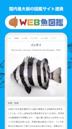 魚みっけ 3