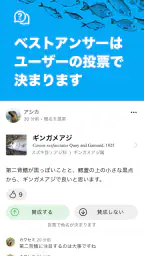 魚みっけ 4