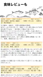 魚みっけ 6