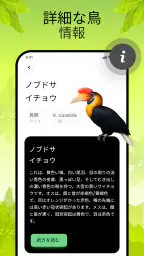 鳥の鳴き声 6