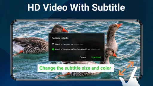 HD-videospeler Alle formaten 8