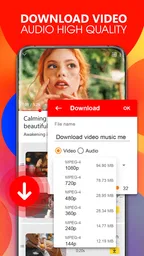Tube Video Downloader 4