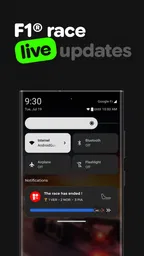 Box Box Club: Formula Widgets 5