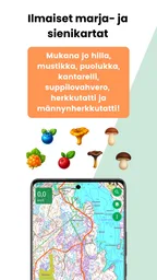 Karttaselain - Maastokartta 2