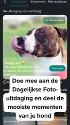 DogPack: Hondenparken en meer 6