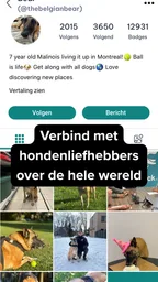DogPack: Hondenparken en meer 7
