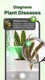 LeafCheck: Plant Identifier 2
