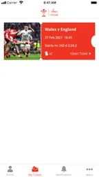 Principality Stadium Ticketing 4
