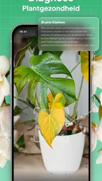 Planten Herkennen: LeafSnap 3