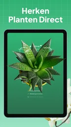 Planten Herkennen: LeafSnap 7