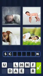 4 Bilder 1 Wort 5