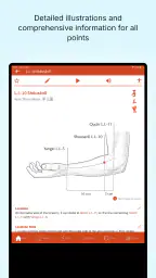 A Manual of Acupuncture 2025 7
