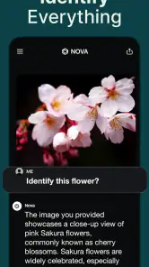 AI Chatbot - Nova screenshot