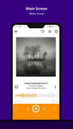 AIMP 1