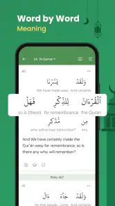 Al Quran (Tafsir & by Word) screenshot