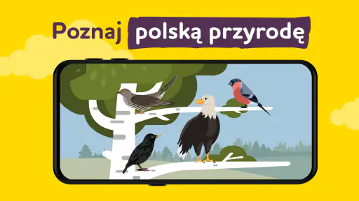 ALPA gry edukacyjne po polsku 8