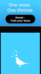 Amsel – Train your Voice 7