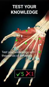 Anatomy Learning By Dr. Blanco screenshot