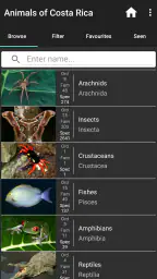 Animals of Costa Rica 2