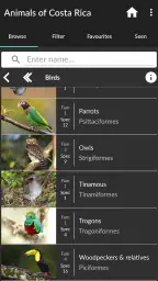 Animals of Costa Rica 3