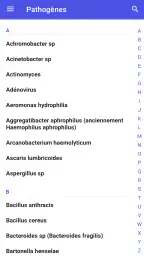 Antibiothérapie Pédiatrique 2