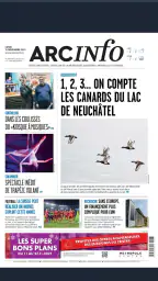 ArcInfo 5