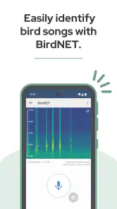 BirdNET screenshot