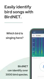 BirdNET 2