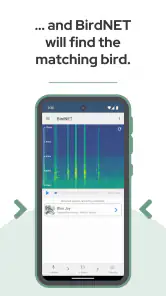 BirdNET screenshot