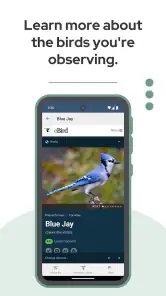 BirdNET screenshot