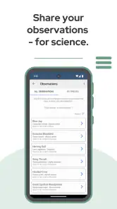 BirdNET screenshot