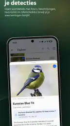 BirdNET Live 5
