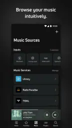 BluOS Controller 5
