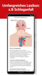 BlutdruckDaten: Werte im Griff 7
