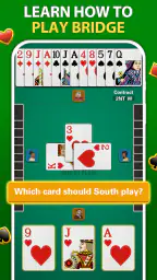 Bridge - Card Game 3