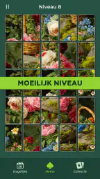 Cardscapes: Puzzel 4