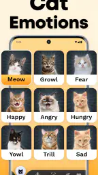 CatTranslator - Cat to Human 3