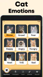 CatTranslator - Cat to Human 7