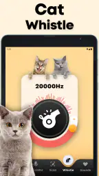 CatTranslator - Cat to Human 8