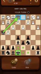 Chess Master: Board Game screenshot