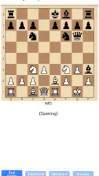 Chessvis - Puzzles, Visualize 5