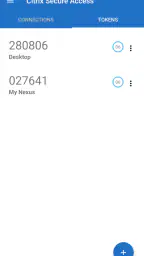Citrix Secure Access 6