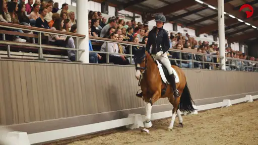 ClipMyHorse.TV 5