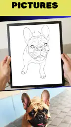 Colorify: Coloring Book Maker 2