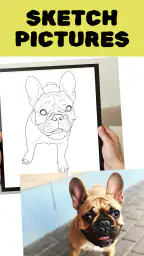 Colorify: Coloring Book Maker 7