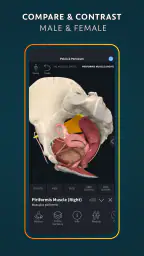 Complete Anatomy 5